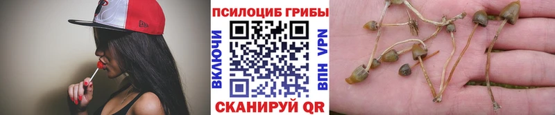 Галлюциногенные грибы ЛСД  Купить закладки  Ликино-Дулёво 